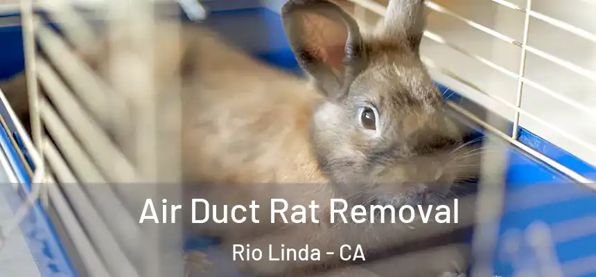 Air Duct Rat Removal Rio Linda - CA