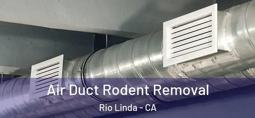  Air Duct Rodent Removal Rio Linda - CA