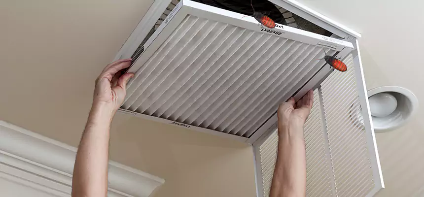 Preventive Cockroach-Proofing for Ducts in Rio Linda