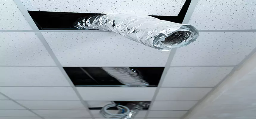 Our Air Duct Pet Hair Removal Services in Rio Linda, CA