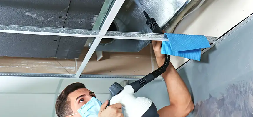 Our Air Duct Rodent Removal Services in Rio Linda, CA