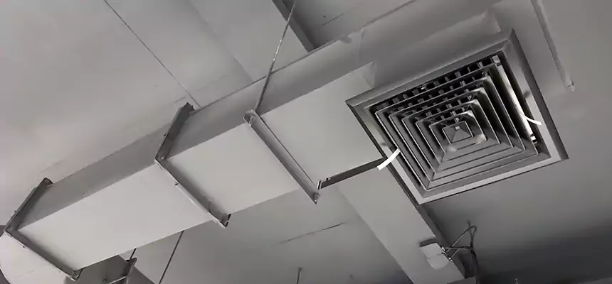 Our Pest Removal From Ducts Services in Rio Linda, CA