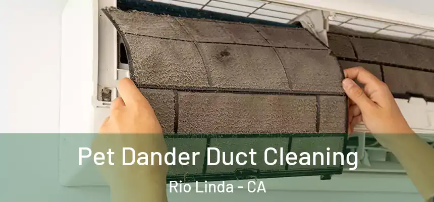  Pet Dander Duct Cleaning Rio Linda - CA