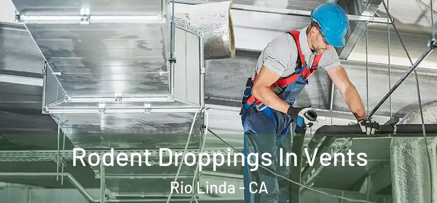 Rodent Droppings In Vents Rio Linda - CA