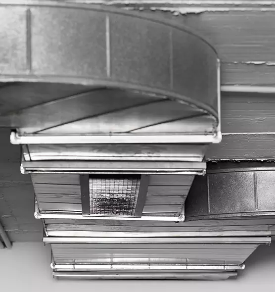 Professional Air Duct Pet Hair Removal in Rio Linda, CA