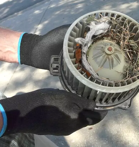 About Air Duct Rat Removal in Rio Linda, CA