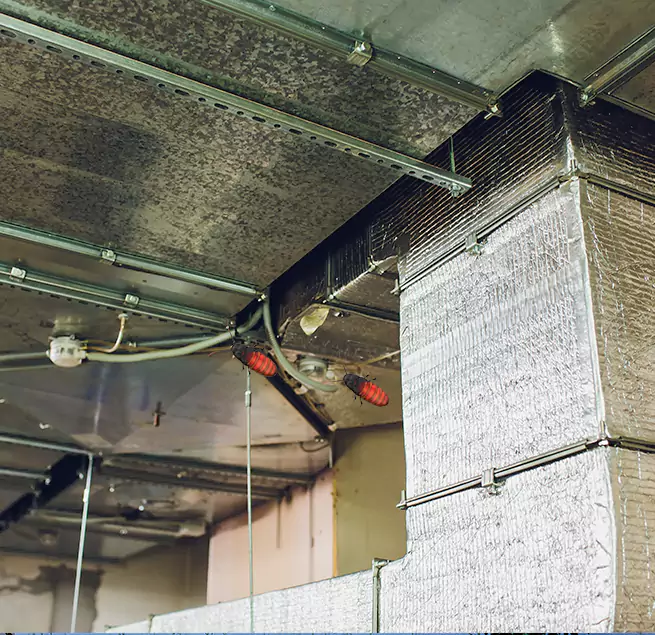 Why Homeowners & Businesses Trust Us in Rio Linda, CA?