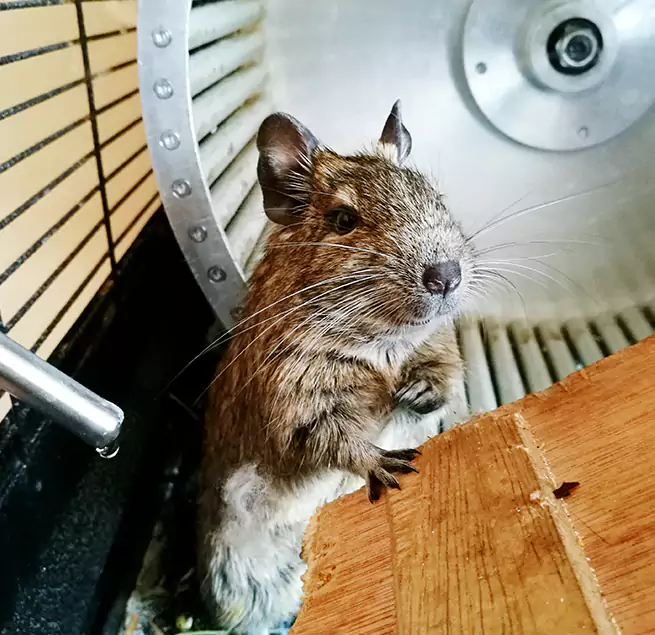 Why Homeowners & Businesses Trust Us Rio Linda, CA