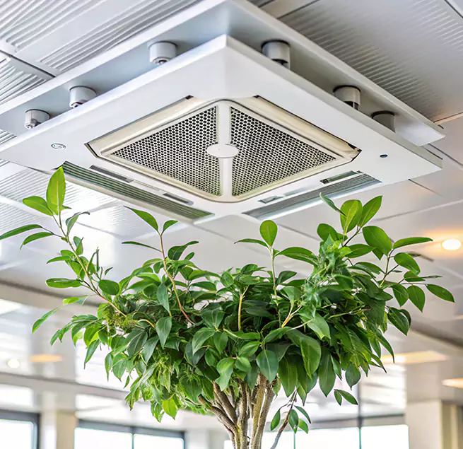 Why Homeowners & Businesses Trust Us in Rio Linda, CA?