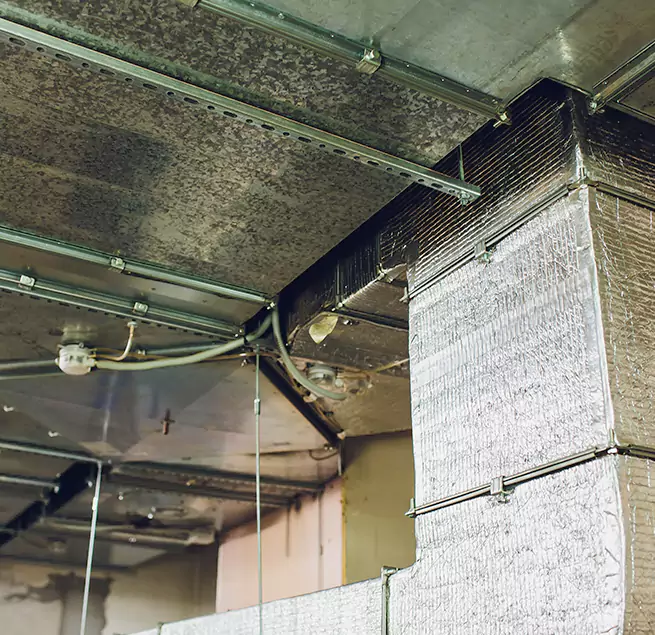 Why Homeowners & Businesses Trust Us in Rio Linda, CA?